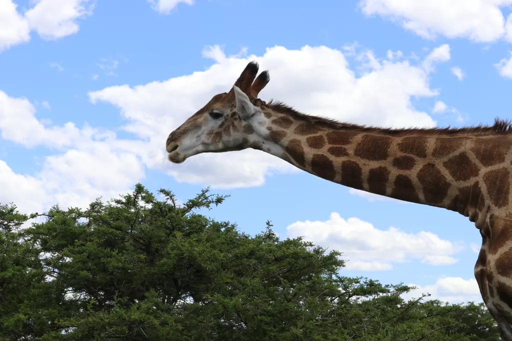what to wear on safari in tanzania