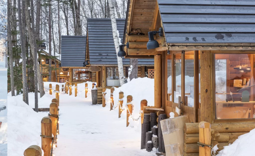 beautiful winter scenes