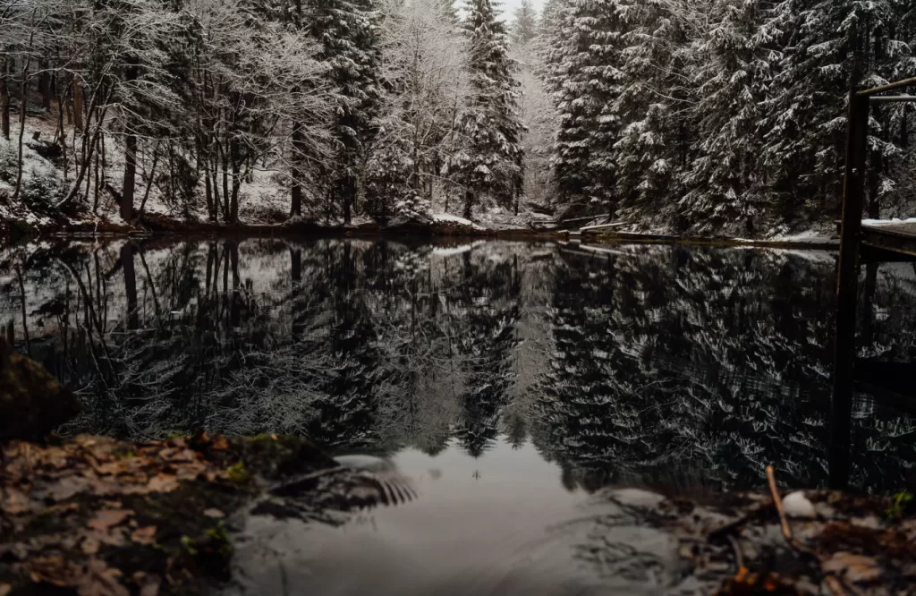 winter scenes for family