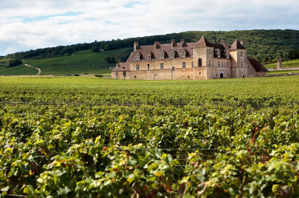 what to wear to a winery
