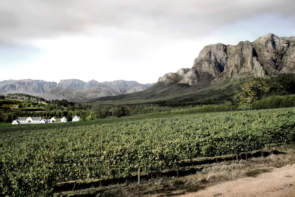 stellenbosch wineries
