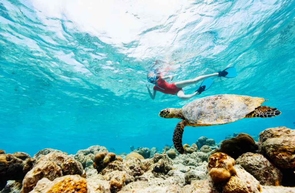 morocco snorkeling