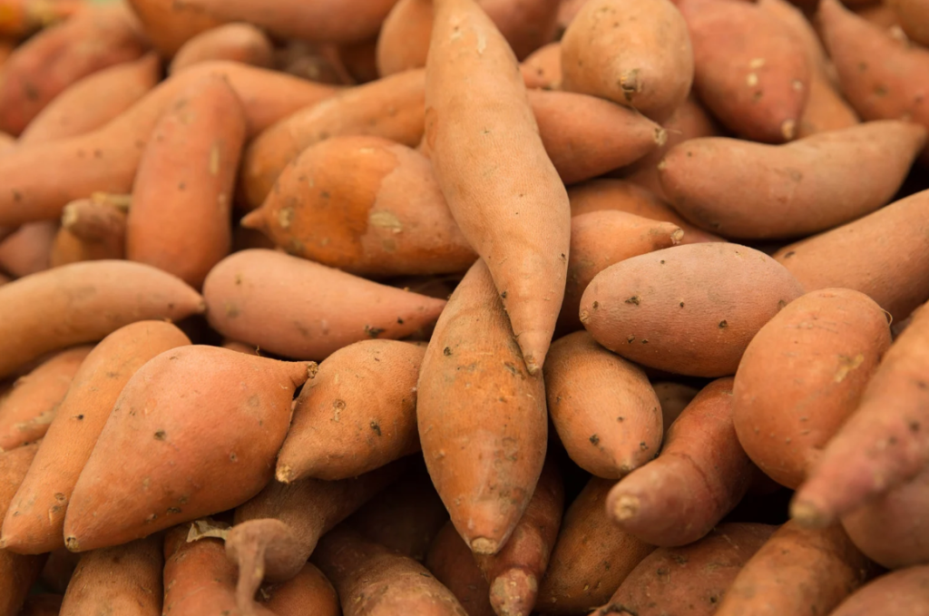 Bolivia Christmas Foods