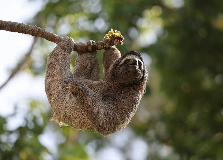 Costa Rica adventure travel itinerary