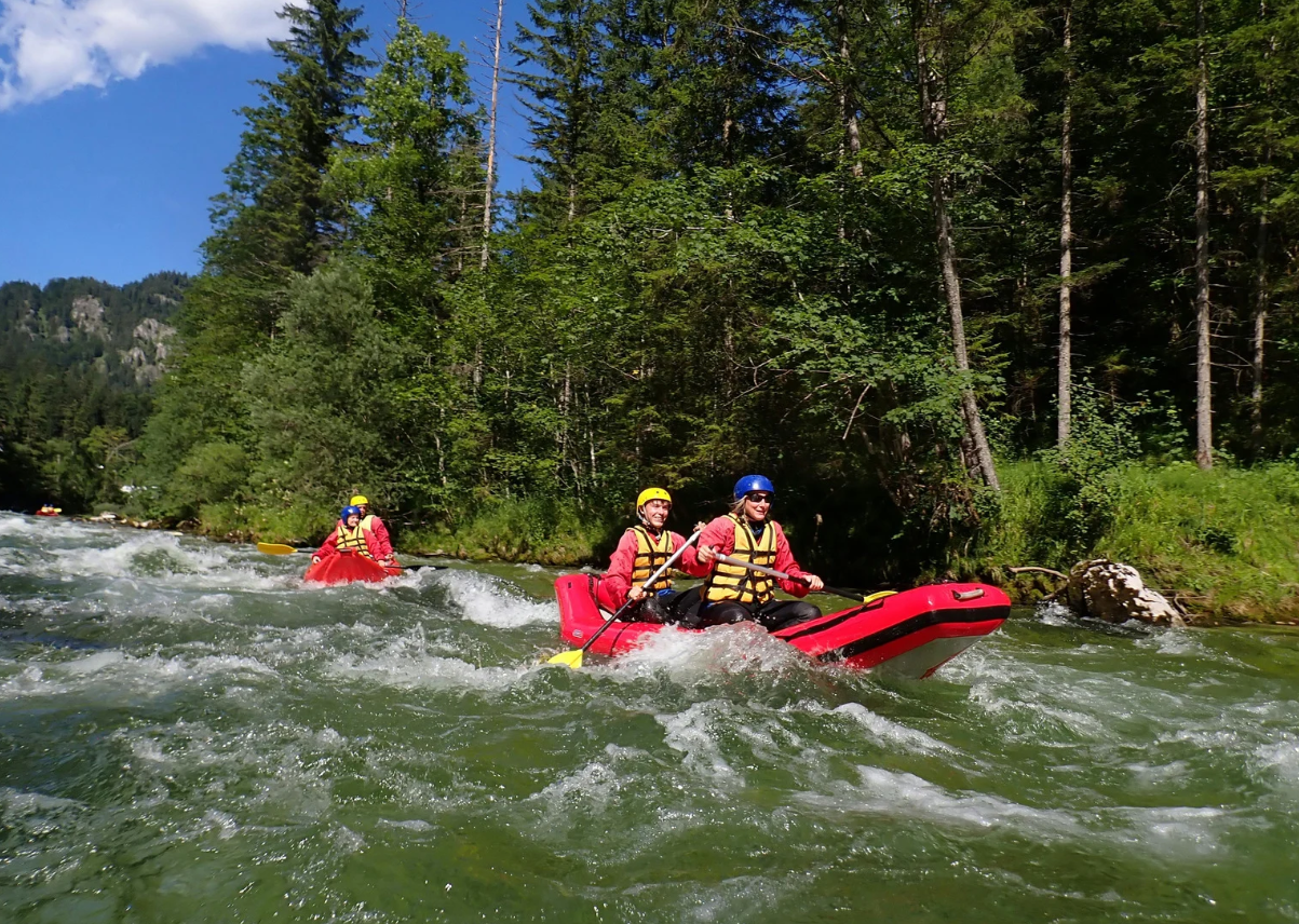 Darecations travel trend