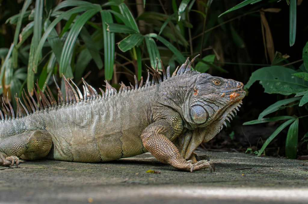 Costa Rica adventure travel itinerary