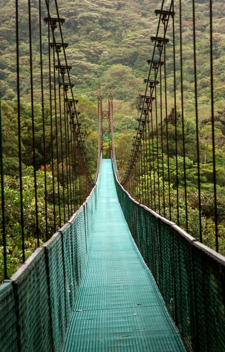 Hanging Bridges in Cloudforest - Costa Rica
