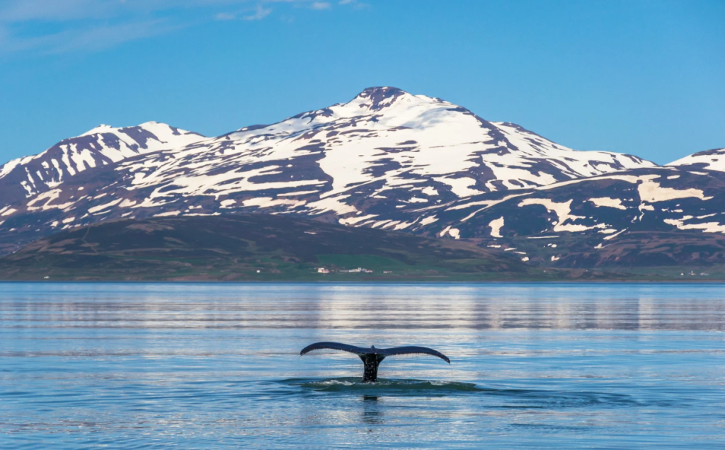 Iceland waterfalls and glaciers itinerary